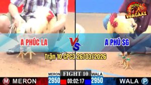 Trận 10 CPC3 26/03/2026 - Đỏ Má Minh Đá Đúng 3 Chân Bưng Chuối Hiệu Ra Sân