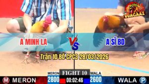 Trận 10 CPC3 28/03/2026 - Điều Anh Sĩ Chấp 2 Chấm Có Cơ Sở Vào Kính Đá Má Minh Hết Sẩy