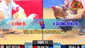 Trận 11 Bồ CPC2 29/3/2026 - Uá Đâm Điều Muốn Hư Điều Đá Lại Chân Nghiệt Uá Chạy