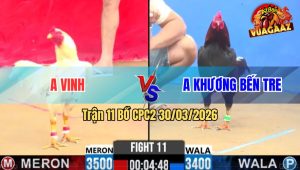 Trận 11 Bồ CPC2 30/3/2026 - Điều Xanh Đá Đúng 1 Cây Bướm Chết Đứng Tại Chỗ