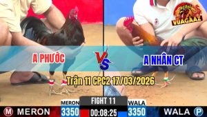Trận 11 CPC2 17/03/2026 - Đ Sipết 3 Chân Đâm Xanh Nhân Cần Thơ Nằm 1 Đống