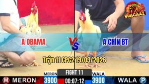 Tran 11 CPC2 19032026 Xanh Qua Trau Phut 90 Dam Do Cung Minh Chay