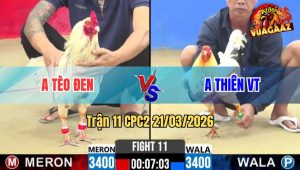 Tran 11 CPC2 21032026 Buom Anh Teo Phut Gay Can Da Chan Quyet Dinh Lum Tien 1