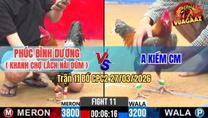 Trận 11 CPC2 27/03/2026 - Xám Chấp Ngông Buông Ra Điều Đá Cây Hư Hình Té