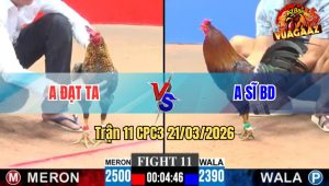 Trận 11 CPC3 21/03/2026 - Cú Bươi Trây Quá Tốt Buông Ra Điều Gãy Giò Hết Phản