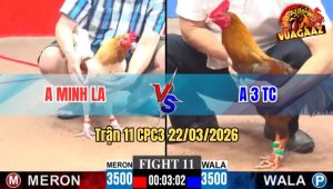 Trận 11 CPC3 22/03/2026 - Khét Mồng Cắt Đá Đúng 1 Chân Rinh Má Minh Ra Ngoài