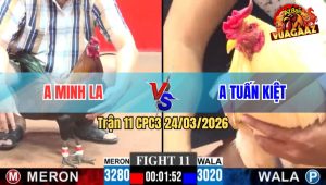 Trận 11 CPC3 24/03/2026 - Gà Đỏ Đá Cựa Như Sam Xít Hạ Xanh Nhanh Lẹ
