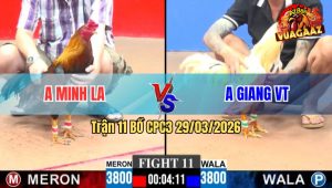 Trận 11 CPC3 29/03/2026 - Bướm Đâm Đầu Cần Điều Má Minh Lọt Té Xe