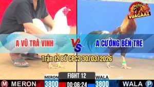 Trận 12 Bồ CPC2 30/3/2026 - Bướm Quá Trâu Gồng Phút 90 Hạ Xám