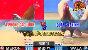 Trận 12 Bồ CPC2 31/3/2026 - 2 Con Quá Đâm Đỏ Muốn Hư Xanh Xỉu