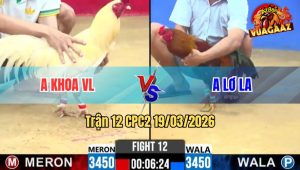 Tran 12 CPC2 19032026 Ua Nuoi Tang Dieu Co Tran Hoa Qua Hay