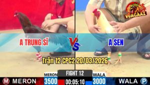 Tran 12 CPC2 20032026 Ua Chap 5 Cham Da Doi Thu Khong Kip Do Chan 2