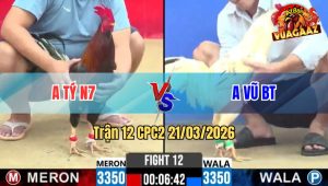 Trận 12 CPC2 21/03/2026 - Bướm Có Chân Nghiệt Đâm Điều Cây Xỉu Trên Tay