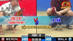 Trận 12 CPC2 23/03/2026 - Điều Siết Đúng 3 Chân Lấy Tiền Nhanh Gọn