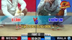 Trận 12 CPC2 25/03/2026 - Kiểm Cà Mau Nài Gà Quá Khéo Cầm Hòa Minh Lý Thành Công