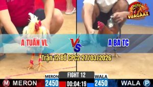 Trận 12 CPC2 27/03/2026 - Bướm Đá Điều Sắp Hư Điều Đá Lại Chân Phản Bướm Té