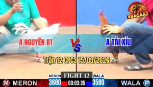 Trận 12 CPC3 15/03/2026 - Vàng Đá Tàn Tàn Tàn Cũng Đâm Bướm Té