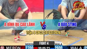 Trận 4 Bồ CPC2 24/3/2026 - Chuối Nhập Mẻ Hiệu Idol Kéo Lúa Lúa Thành Công Cho Anh Em