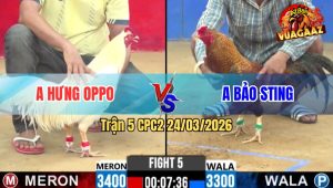 Trận 5 Bồ CPC2 24/3/2026 - Tài Nghệ Của Anh Bảo Cũng Không Mang Về Chiến Thắng Do Đỏ Quá Trâu