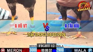 Trận 12 CPC3 24/03/2026 - Đỏ Đi Bộ Cũng Đâm Hạ Gà Của Bồ Tuyệt Đối