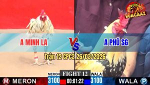 Trận 12 CPC3 26/03/2026 - Chuối Hiệu Phú Sài Gòn Phục Thù Thành Công Má Minh