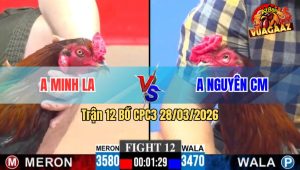 Trận 12 CPC3 28/03/2026 - Xanh Bị Bọng Mắt Vẫn Đá Cựa Quá Cựa Má Minh Bưng Gà Gọn Ra Sân