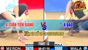 Trận 13 Bồ CPC2 31/3/2026 - Bướm Canh Chặn Đá Lọt Chân Đâm Úa Té