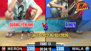 Trận 13 CPC2 16/03/2026 - Điều Chà Như Cái Máy Que Lật Xe Hết Cứu