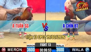 Tran 13 CPC2 19032026 Dieu Da 3 Chan Dam Doi Thu Bay Bo