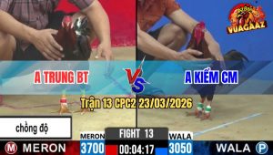Trận 13 CPC2 23/03/2026 - Anh Kiểm Chấp Ngông Gặp Cọp Và Cái Kết