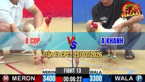 Trận 13 CPC2 25/03/2026 - Úa Chụp Bươi Trây Đúng Tay Nước Đầu Bưng Bướm Ra Sân