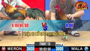 Trận 13 CPC2 27/03/2026 - Đỏ Quá Trâu Gồng Phút 90 Bỏ Ô Thua Đáng Tiếc