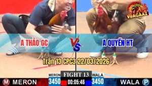 Trận 13 CPC3 22/03/2026 - Điều Xanh Chụp Vô Đá 1 Chân Đâm Xanh Liệt Toàn Thân
