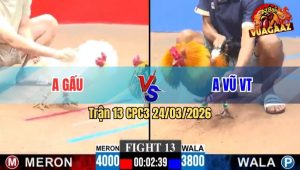 Trận 13 CPC3 24/03/2026 - Đỏ Đá Như Mẹ Chồng Đánh Nàng Dâu Hạ Xanh Nhanh Gọn