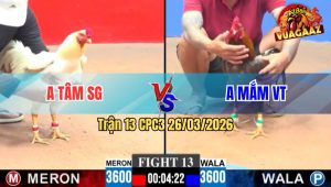 Trận 13 CPC3 26/03/2026 - Gà Đỏ Quá Lì Lợm Gồng Cựa Phản kèo Phút 90