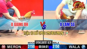 Trận 13 CPC3 29/03/2026 - Cú Chụp Trây Giỏi Khét Lọt Cựa Bỏ Chạy