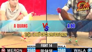 Trận 14 Bồ CPC2 29/3/2026 - Uá Vô Trong Siết Như Cái Máy Buông Ra Điều Oí Chết Tại Ô