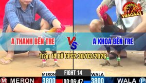 Trận 14 Bồ CPC2 30/3/2026 - Điều Mồng Lá Đá Như Cây Đập Đỏ Lọt Té Tốc Chạy