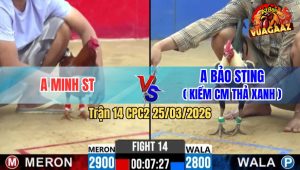 Trận 14 CPC2 25/03/2026 - Điều Đá Cựa Như Sam Xít Hạ Chuối Nhập Idol