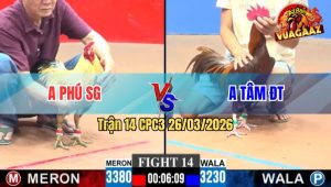 Trận 14 CPC3 26/03/2026 - Khét Đá Chân Nào Là Đâm Chân Đó Chuối Hiệu Bưng Ra