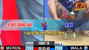 Trận 15 Bồ CPC2 29/3/2026 - Bướm·Đá Bông Muốn Hư Bông Phản Bướm Nằm