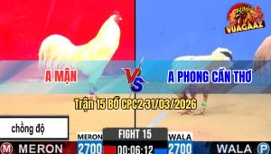 Trận 15 Bồ CPC3 31/3/2026 - Úa Đá Chân Nào Cũng Đâm Chồng Độ Vẫn Về Nhẹ Nhàng