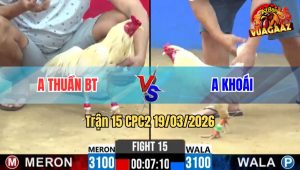 Tran 15 CPC2 19032026 Buom Da Cay Lung Ua Te Xoe Duoi Rinh Ra Ngoai