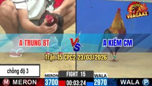 Trận 15 CPC2 23/03/2026 - Con Cọp Anh Trung Bến Tre Lên Lớp 3 Trong 1 Ngày