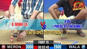Trận 15 CPC2 25/03/2026 - Úa Đá Chụp Cái Đầu Gà Bướm Má Minh Bưng Ra Lập Tức