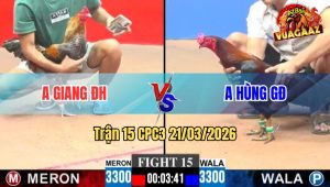 Trận 15 CPC3 21/03/2026 - Gà Cú Vô Dàn Nạp Nóng Lạnh Buông Ra Điều Nằm Gọn Tại Mức