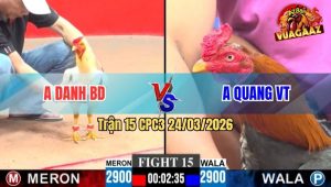 Trận 15 CPC3 24/03/2026 - Bướm Đá Bo Lớn Tới Phút 90 Hạ Điều Về Sau