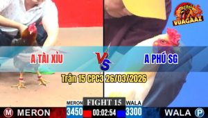 Trận 15 CPC3 26/03/2026 - Đỏ Đâm Như Cái Máy Điện Hạ Gà Xanh Nhanh Gọn