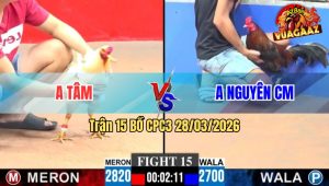 Trận 15 CPC3 28/03/2026 - Gà Xanh Đá Chân Nghiệt Tới Phút 90 Hạ Đỏ Về Sau