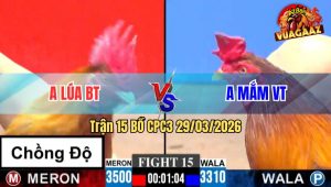 Trận 15 CPC3 29/03/2026 - Gà Xám Lá Quá Hay Lên Lớp Thành Công